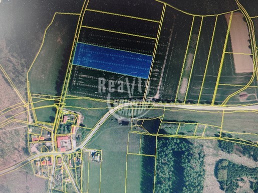 Exkluzivní prodej zemědělského pozemku v obci Jamné - Fotka 3