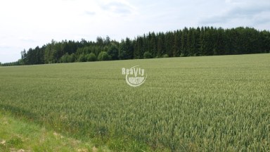 Nabízíme k prodeji zemědělské pozemky v k.ú. Batelov na Vysočině
